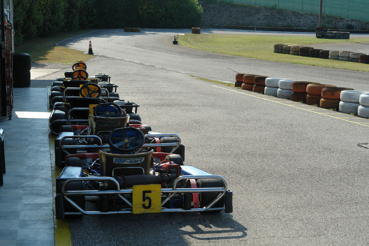 Compter jusqu'à 10: Course avec des Koalas en Karting sur