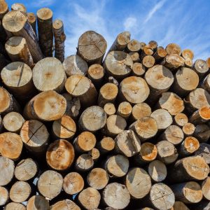 Bois pour se chauffer