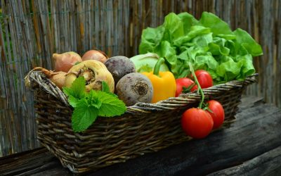 La culture des légumes bio : conseils pour obtenir une récolte abondante et saine