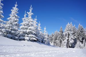 Ski de randonnée