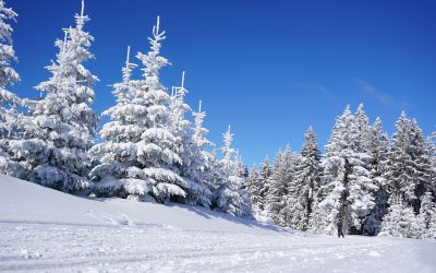 Le ski de randonnée : une approche nature pour partir à la conquête des cimes