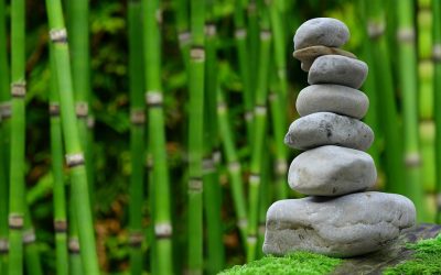 Les concepts de jardinage japonais : inspiration pour un jardin zen et paisible