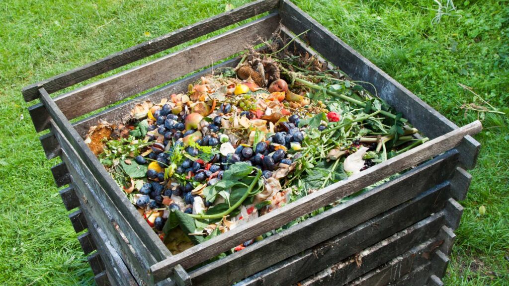 compost