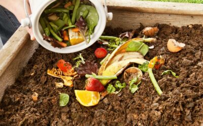 Pourquoi le compostage est bénéfique pour votre jardin ?