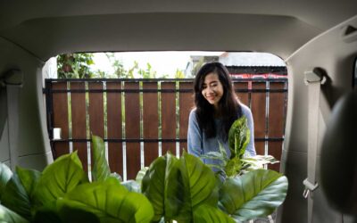 Pourquoi privilégier les plantes locales dans son jardin ?