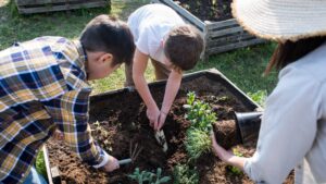 jardinage