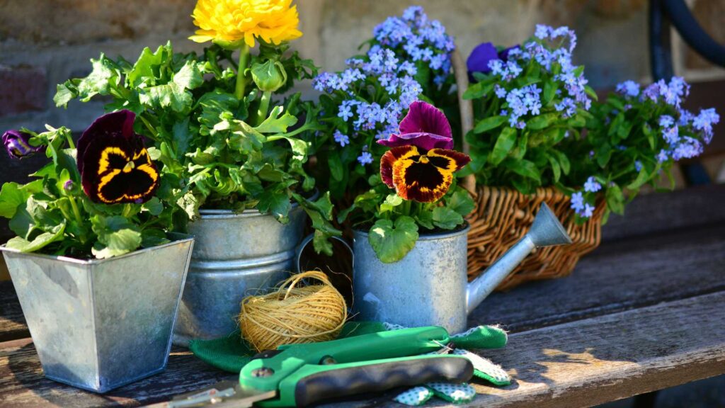jardinage