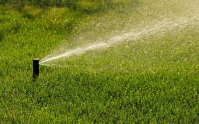 Les avantages d’un arrosage automatique