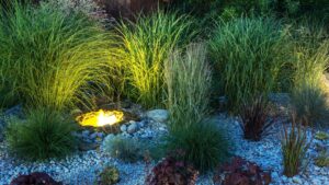 jardin