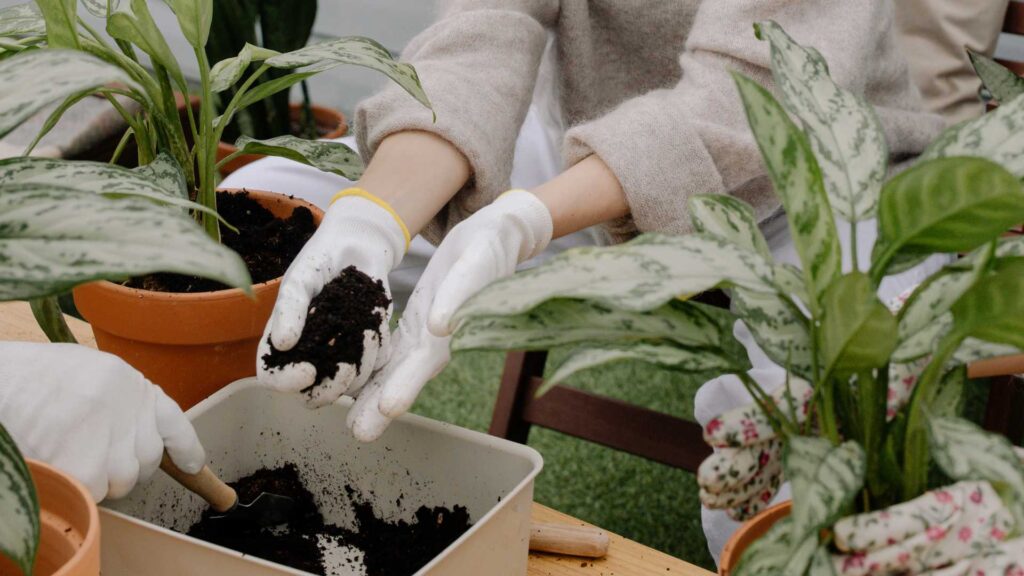 femme qui jardine