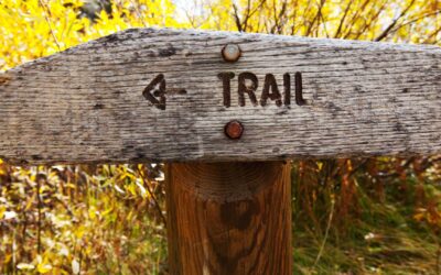Comment débuter en trail running ?