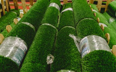 Comparaison : gazon naturel vs gazon synthétique, quelle solution pour votre jardin ?